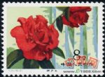 DM-T37-(10-2)云南山茶花(8分)