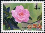 DM-T37-(10-1)云南山茶花(4分)