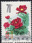 DM-T72-(6-6)藥用植物(70分)