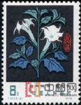 DM-T30-(5-2)藥用植物(8分)