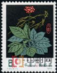 DM-T30-(5-1)藥用植物(8分)