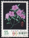 DM-T30-(5-5)藥用植物(55分)