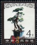 DM-T61-(6-1)盆景藝術(8分)