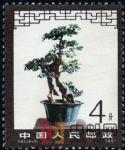 DM-T61-(6-1)盆景藝術(8分)