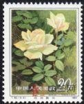 DM-T93-(6-5)月季花(20分)