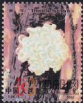 DM-T66-(6-1)食用菌(4分)