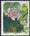 DM-T54-(4-2)荷花(8分)