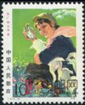 DM-T17(6-5)在廣闊天地里(10分)