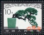 DM-T61-(6-4)盆景藝術(10分)