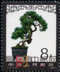 DM-T61-(6-2)盆景藝術(8分)