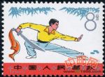 DM-T7-(6-1)武術(8分)