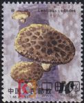 DM-T66-(6-5)食用菌(10分)