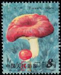 DM-T66-(6-4)食用菌(8分)