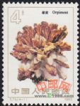 DM-T73-(4-1)礦物(4分)