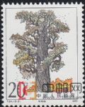 DM-T84-(3-3)黃帝陵(20分)