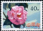 DM-T37-(10-7)云南山茶花(40分)