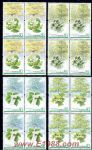 2006-5孑遺植物(四方連)