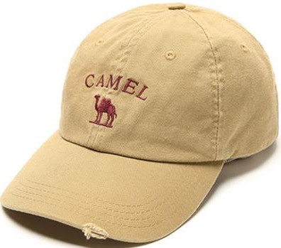 Camel骆驼 户外运动太阳帽 潮遮阳帽时尚鸭舌帽 D4W250304 特价