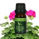 美國VZI德國洋甘菊精油ChamomileGerman10mL單方精油補(bǔ)水保濕抗敏感抗菌消炎舒緩壓力緩解痛經(jīng)