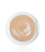 倩碧水嫩保濕粉凝霜SPF30/PA++