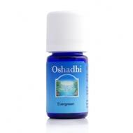 Oshadhi清新森林復方精油