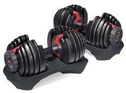 BowflexSelectTech552DumbbellsWithWorkoutDVD