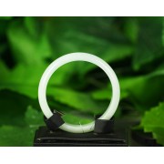 翡翠(A貨)手鐲