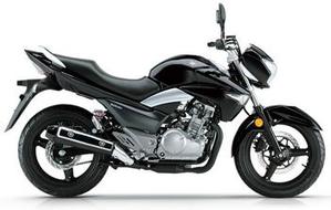 驪馳GW250