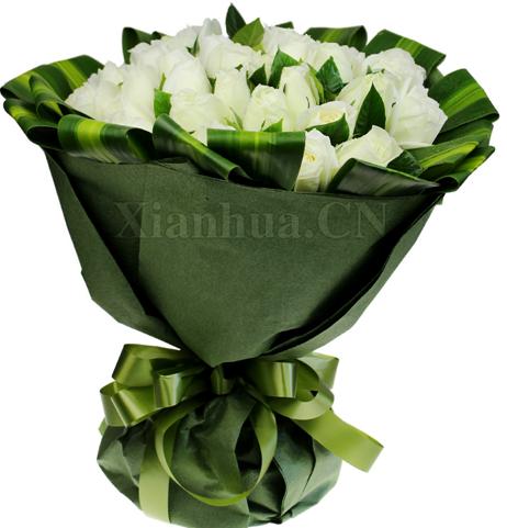 恋爱物语你就像是一朵玫瑰33朵白玫瑰,配绿叶间插,巴西叶围边,绿色皱纹纸包裹,绿色蝴蝶结扎束(高:42cm*宽:42cm)