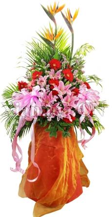 開業(yè)大吉生意紅火粉色和紅色弗朗20朵,6朵粉色百合,3枝天堂鳥,搭配粉色勿忘我,配草點(diǎn)綴,如圖插花(高170cm*寬90cm)