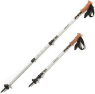 REITraversePowerLockCorkTrekkingPoles-Pair