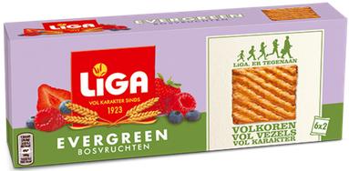 Liga Evergreen original bosvruchten (1 Doos van 250 gr)