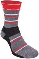 CastelliGregge12CyclingSock