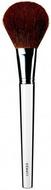 CliniquePowderBrush