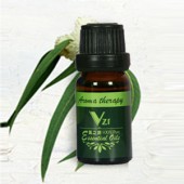 美国VZI丝柏精油Cypress10mL单方精油收敛毛孔控油控制皮肤水分流失改善老化肌肤