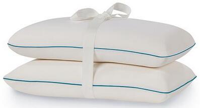 DreamTherapyMemoryFoam2-pk.Pillows