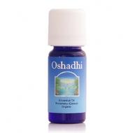 Oshadhi有机桉油醇迷迭香单方精油