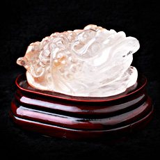 天然白水晶帶俏色金蟾擺件★精美水晶長壽金蟾家居工藝品★健康長壽招財辟邪