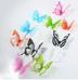 ColorfulDIY3DButterflyWallStickerMirrorArtDecalPVCPaperForHomeShowcase-12Pcs