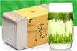川紅綠茶茶葉雀舌茶葉2015新茶明前春茶送禮茶葉禮盒