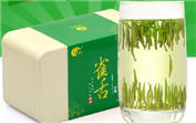 過年送禮茶葉特級明前綠茶至尊雀舌茶葉2015新茶純芽茶