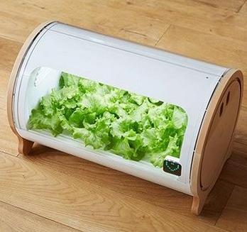 技感極強的盆栽Foop盆栽