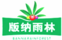 版納雨林