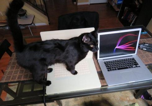 喵星人也用上“MacBookPro”了——Cattop筆記本型可加熱貓窩