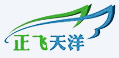正飛天洋