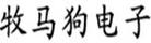 牧馬狗
