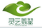 靈云翡翠