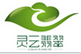 靈云翡翠