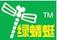 綠蜻蜓