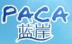 藍岸